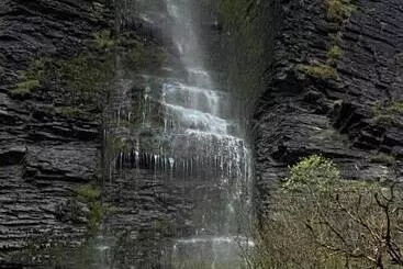 تختخواب و صبحانه Lilac Manor