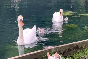 ペンション Beddington Park Lodge West