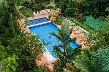 乡村酒店  Ara Ambigua Lodge