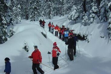 Pension Haus Waldesruh