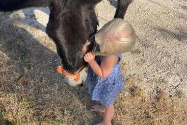 קוטג'' Agriturismo La Casa Del Mandorlo