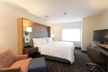 호텔 Holiday Inn & Suites Detroit Troy, An Ihg