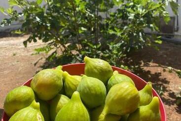 هتل آپارتمان Gli Ulivi Case Vacanze