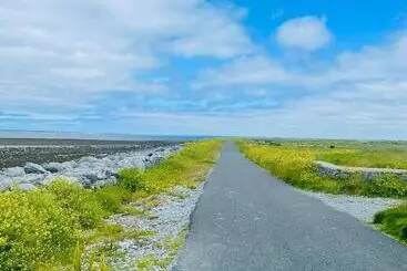 Bed & Breakfast Cedar Lodge Accommodation H91 Cf9d