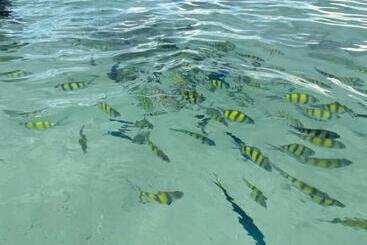 پانسیون Dalum Beachhouse