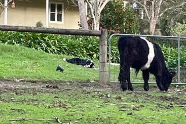 Fleetwood Cottage Bed And Breakfast