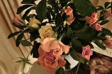 Aamiaismajoitus (B&B) La Maison Céladon