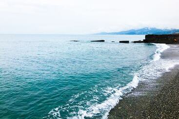 Hostel Terminal Adler