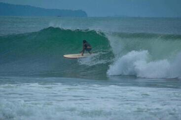 캡슐 호텔 Bk Homestay, Batukaras