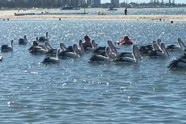 בית מלון כפרי Blue Waters Apartments