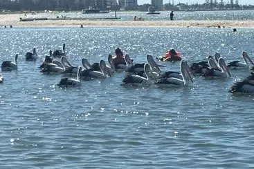 Отель Blue Waters Apartments