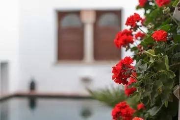 Appartamenti turistici Apartasuites Alberca Deluxe