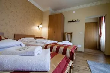 Otel Pension Andronic