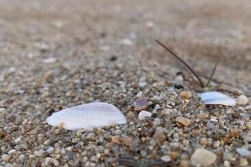 Appart'hotel Nm Residence