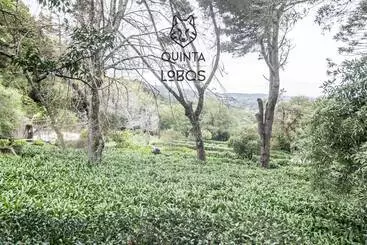 Quinta Dos Lobos Boutique Hotel   Nature Experience