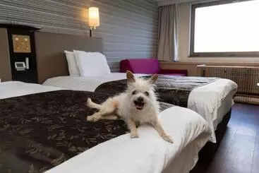 Apa Hotel & Resort Joetsu Myoko