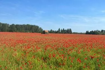 Nocleg ze śniadaniem Oh ! Fleurs Des Champs