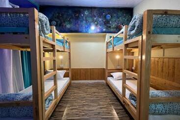 Albergue The Vagabond Manali