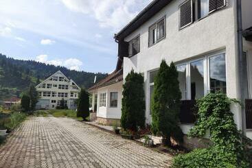 بنسيون Antal Apartmans Lunca De Sus Kulcsosház Gyimesfelsőlok