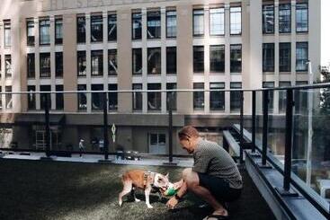 Hotel Level Seattle Downtown  South Lake Union