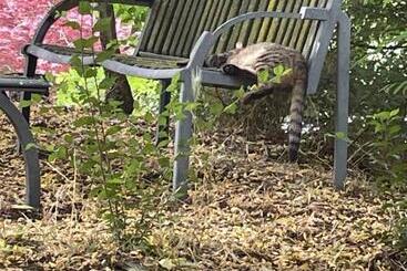 فندق Agriturismo Ai Gradoni