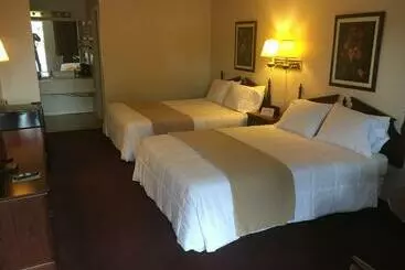 モーテル Alpine Lodge