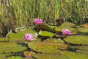 Pension Secret Sithela