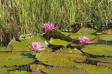 Majatalo Secret Sithela