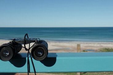 酒店 Dongara Tourist Park