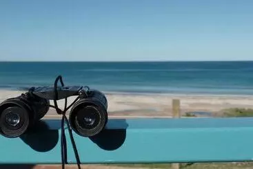 ホテル Dongara Tourist Park