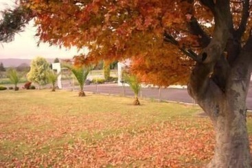 Mountain View Motel, Levin