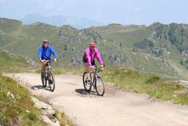 Отель Haus Hubertus