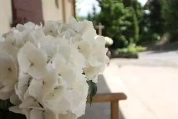 ペンション Tauberlodge