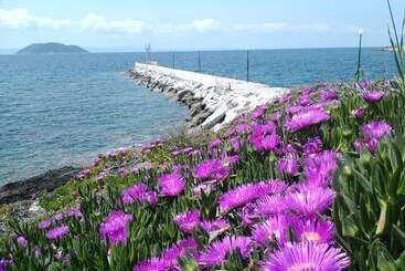 Welcome To Hotel Petunia, In Neos Marmaras,xalkidiki ,greece, Triple Room