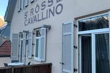 בית מלון כפרי Albergo Cavallino S'rössl