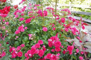 Hotell Gästehaus Hubertushof