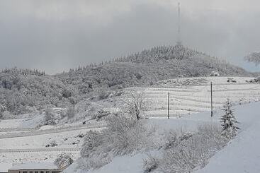 בית מלון כפרי Restaurant Rebstock