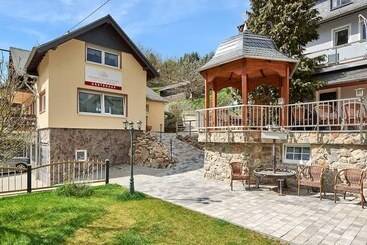 ホテル Weinbergschloßchen