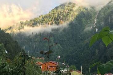 호텔 Ayder Liligum Dag Evi