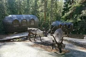 هتل Igluhut Sleeping With Reindeer