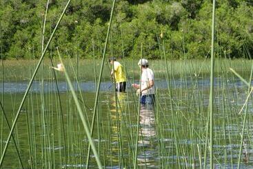 Pension Cabaña Los Coigues 2308