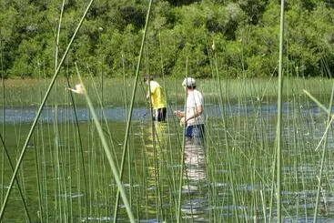 Pensione Cabaña Los Coigues 2308
