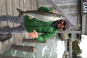 فندق Whaleback Inn