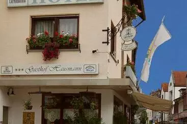 פנסיון Gasthof Hausmann