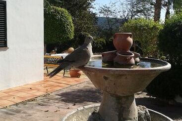 Pensão Casa Rural El Cubillo