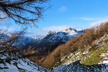 Hus på landet Acorn