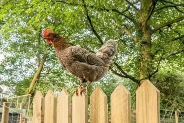 コテージ Eden House