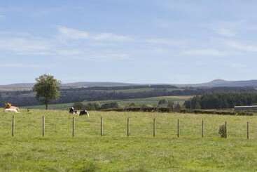 Quinta ou Casa Rural The Loft