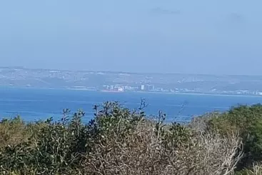 Majatalo At 29 Columba