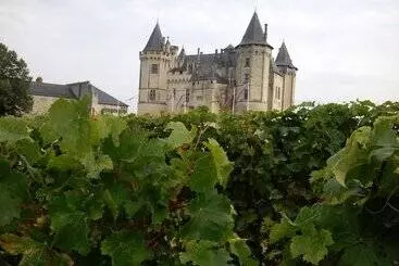 ベッドアンドブレックファースト Le Logis Des Roches D'antan